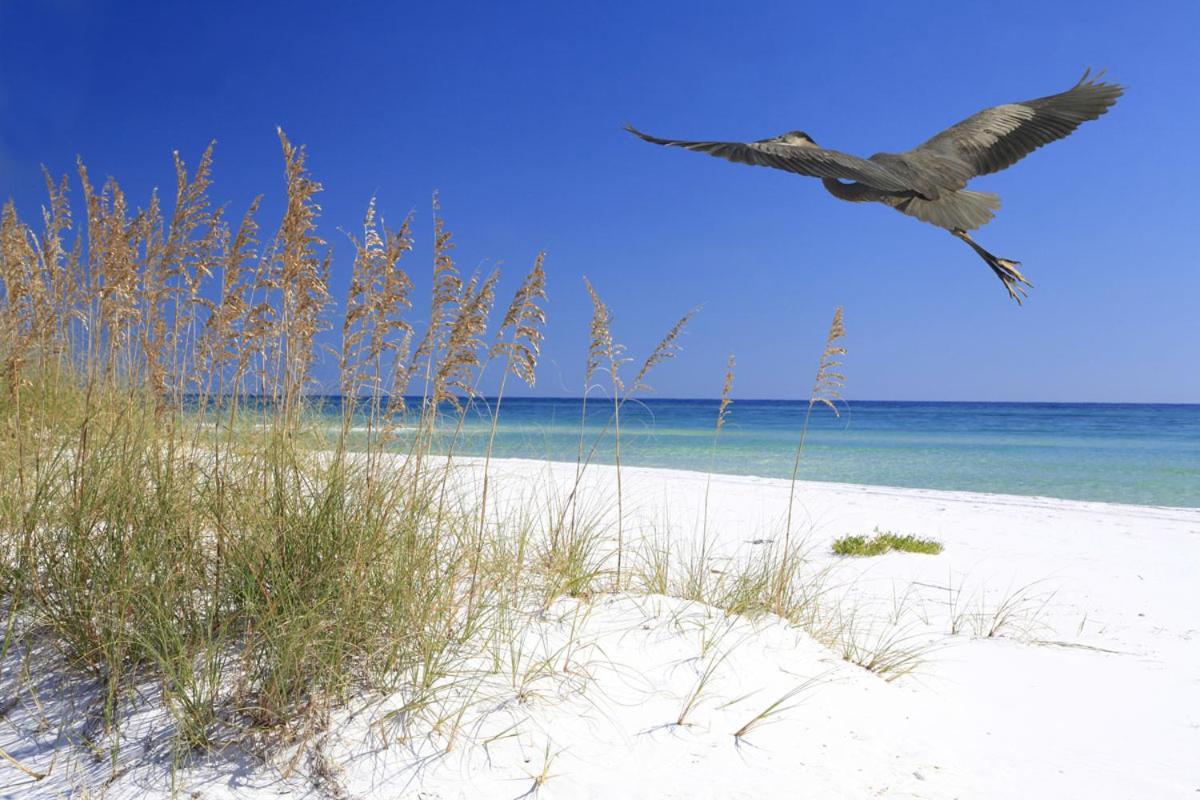 Cozy Canaveral Beach Condo! Next To Nasa Launch Site كيب كانافيرال المظهر الخارجي الصورة